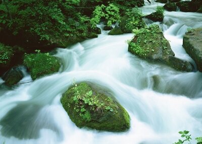 Фотообои Горная река