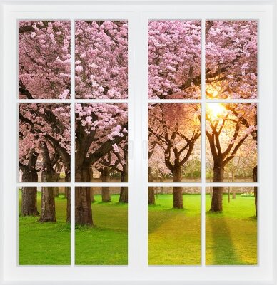 Фотообои с окном Цветение сакуры