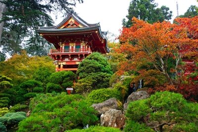Чайный сад в Японии