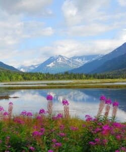 горы, долина, цветы, озеро